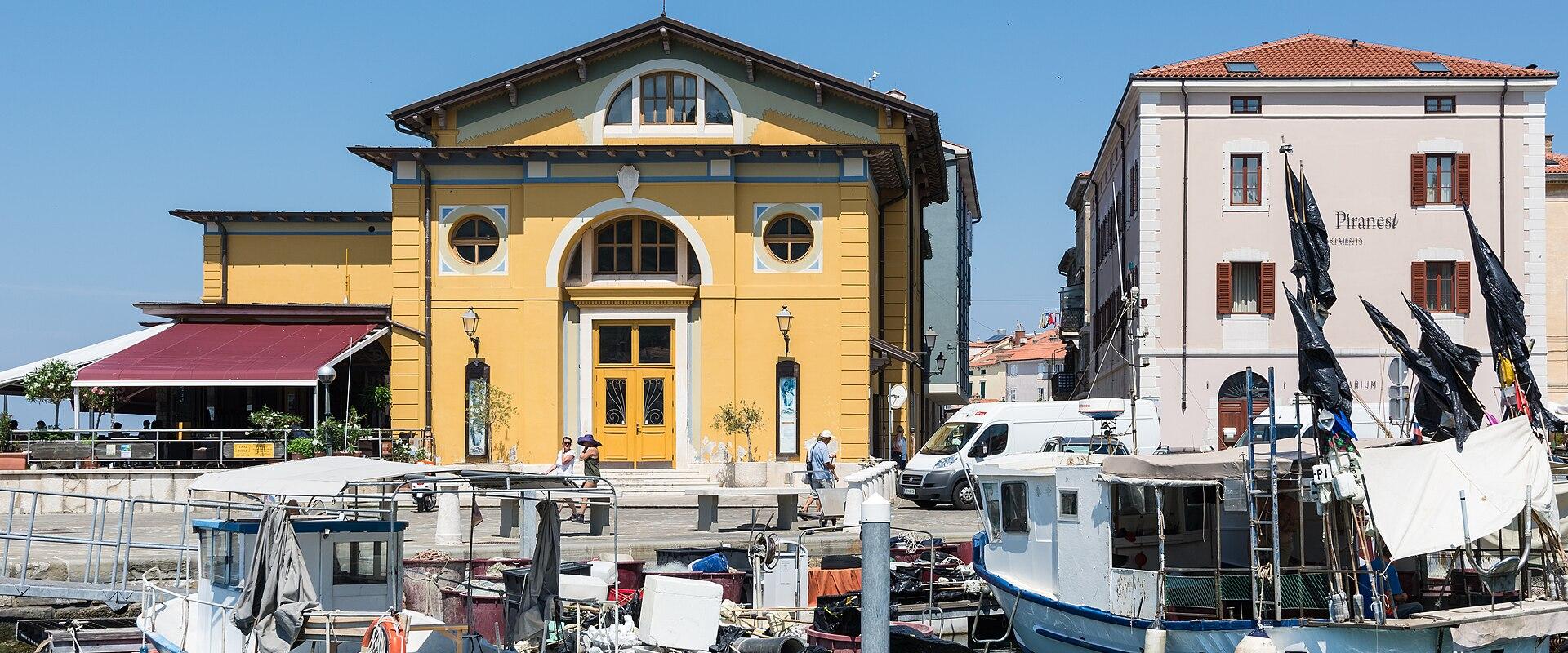 Piran harbour, where the town aquarium sits on the waterfront