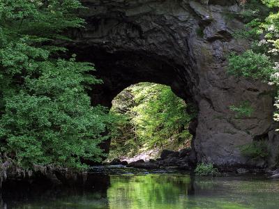 The Big Natural Bridge in Rakov Škocjan