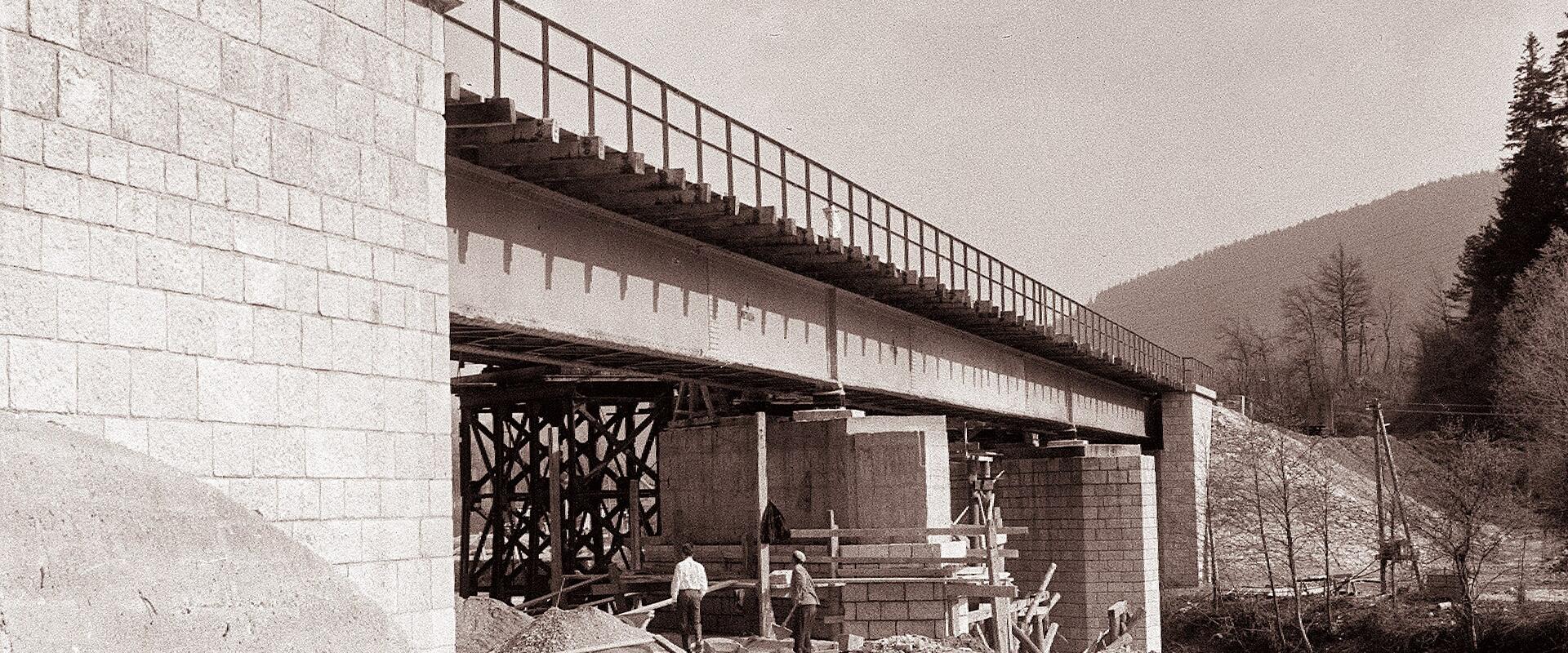 Ruined Railway Bridge Over the Drava River