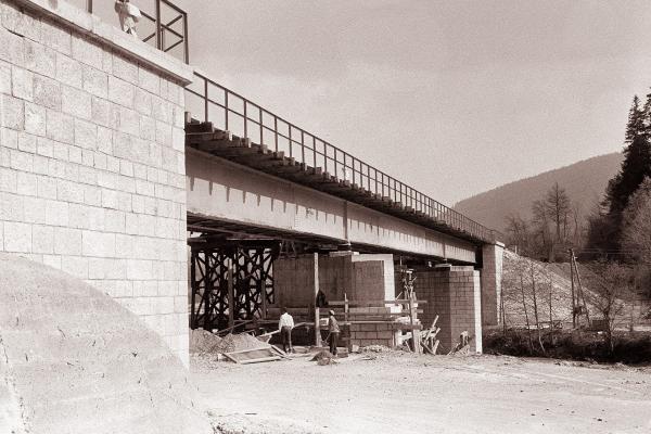 Ruined Railway Bridge Over the Drava River