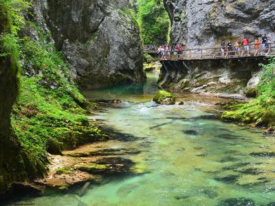 Emerald water and the boardwalk in the Vintgar gorge
