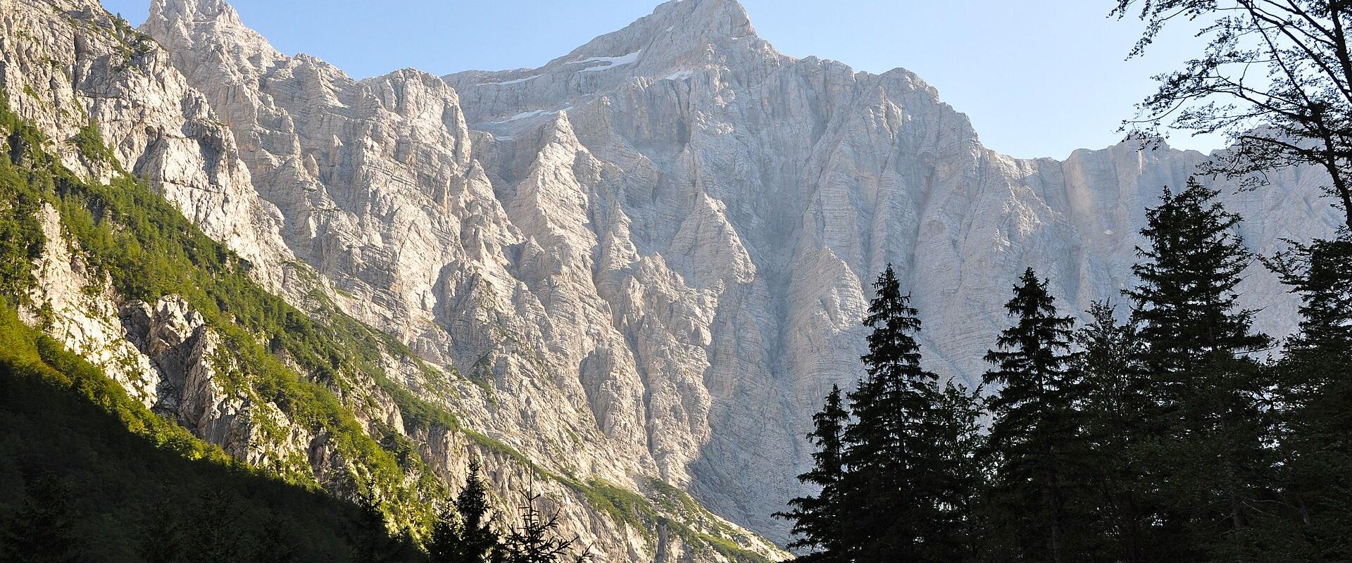 A view of a steep, rocky mountain face with patches of snow near the summit, framed by dark coniferous trees in the foreground and a clear blue sky.