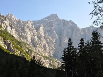 A view of a steep, rocky mountain face with patches of snow near the summit, framed by dark coniferous trees in the foreground and a clear blue sky.
