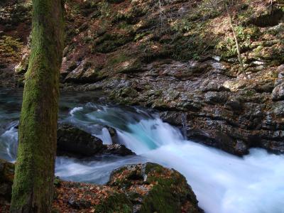 The turquoise Radovna river running through the mossy rock walls of Vintgar Gorge near Bled.