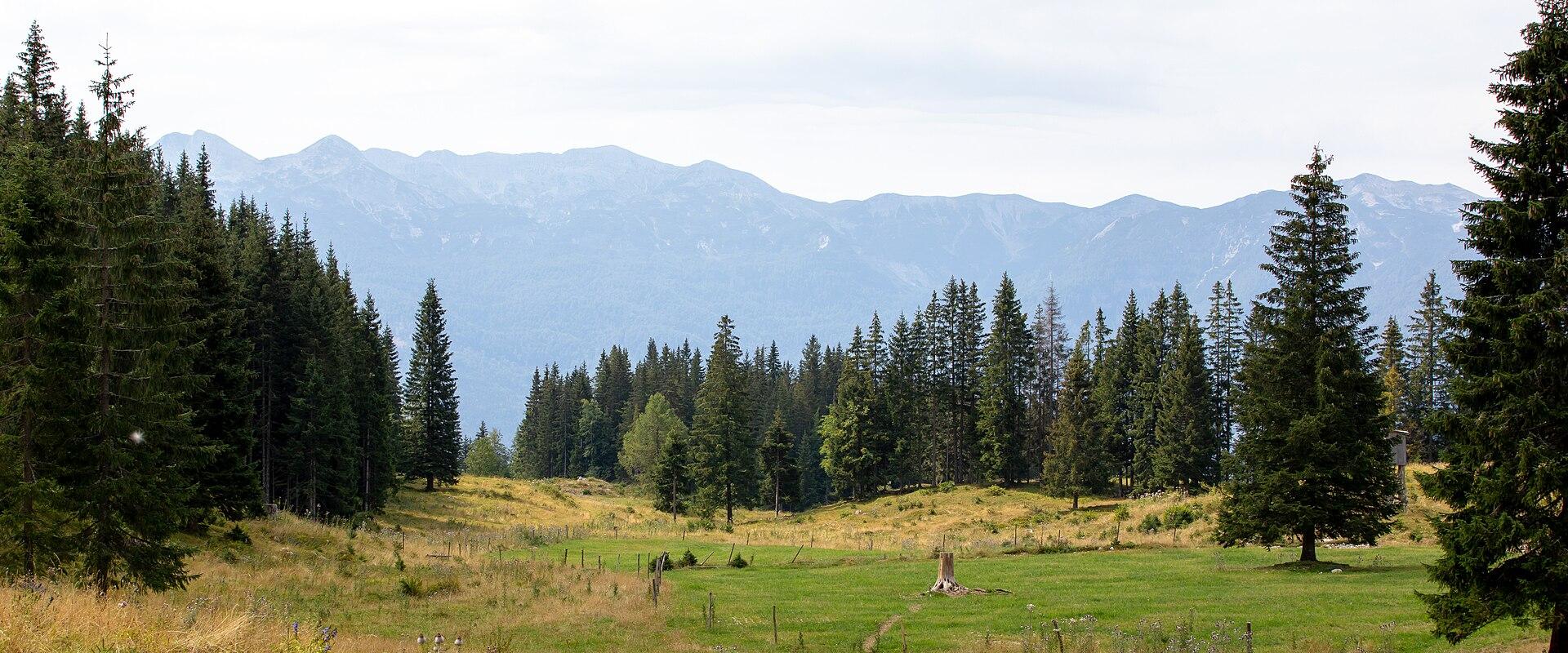 Pokljuka