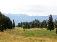 Pokljuka