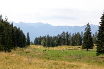 Pokljuka