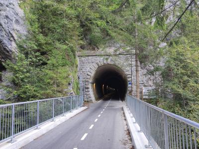 A paved path with metal railings leads into a stone-arched tunnel entrance set into a rocky, forested hillside.