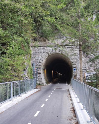 A paved path with metal railings leads into a stone-arched tunnel entrance set into a rocky, forested hillside.