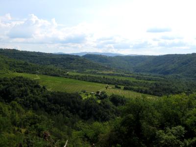 The green Dragonja valley in Slovenian Istria