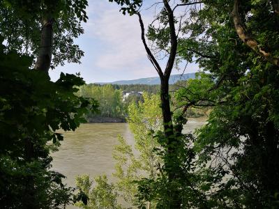 Maribor Island on the Drava River
