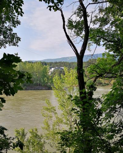 Maribor Island on the Drava River