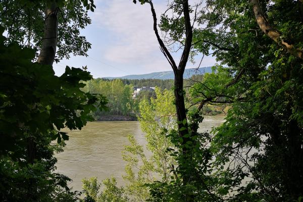 Maribor Island