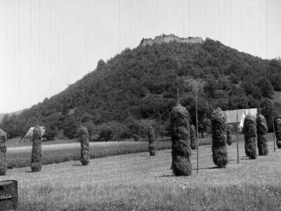 A black and white photograph showing a rural landscape with rows of standing hay stacks in the foreground and a forested hill topped with the ruins of a castle in the background.