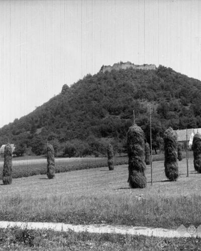 A black and white photograph showing a rural landscape with rows of standing hay stacks in the foreground and a forested hill topped with the ruins of a castle in the background.