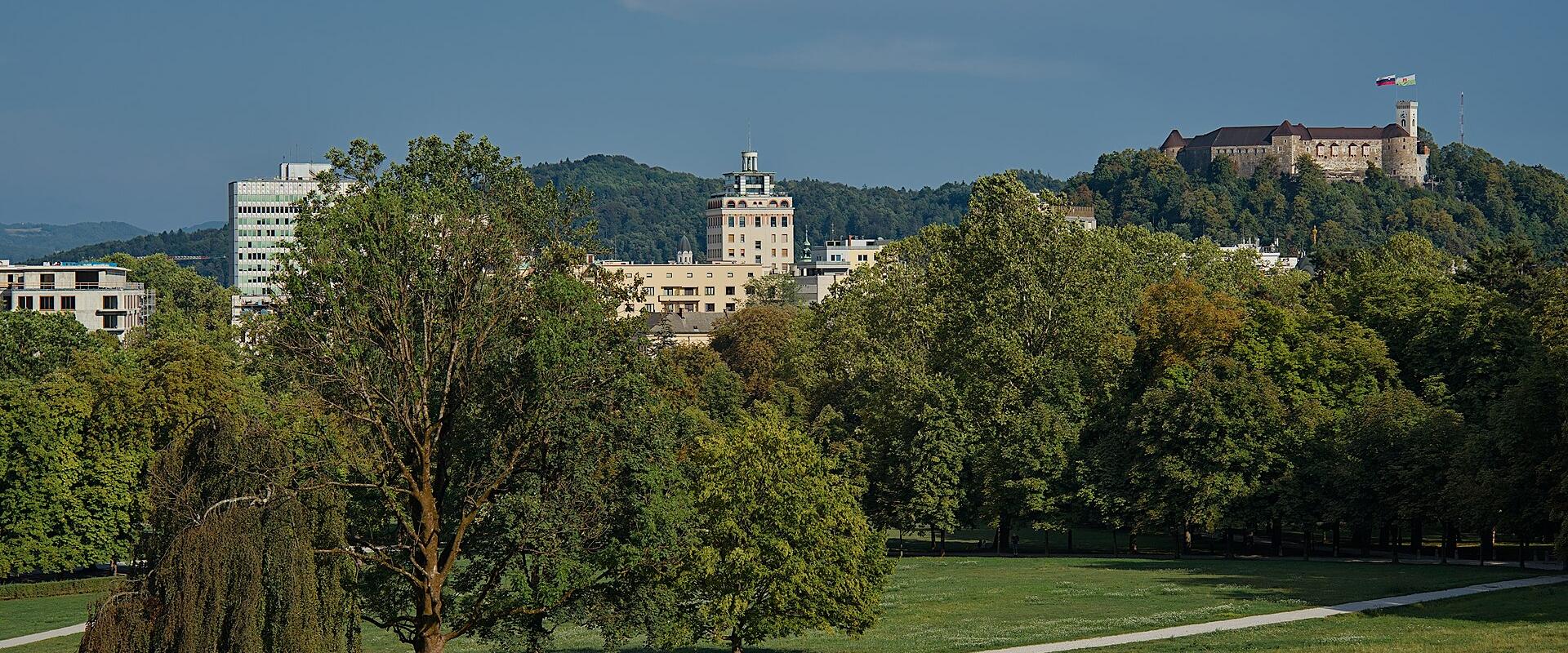 A wide view of a large green park with trees and a path in the foreground, and a cityscape with a prominent castle on a hill in the background.