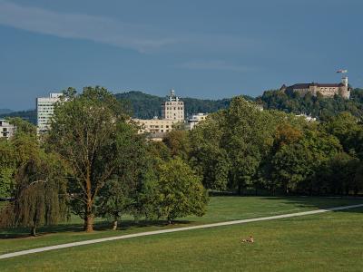 A wide view of a large green park with trees and a path in the foreground, and a cityscape with a prominent castle on a hill in the background.