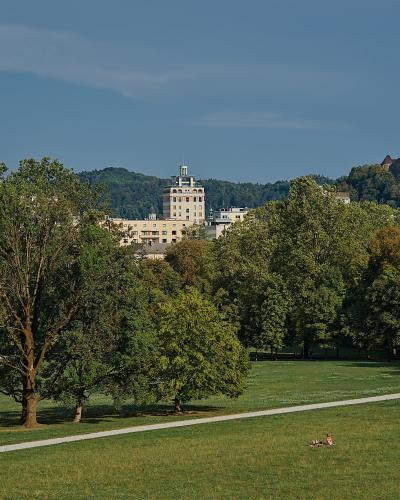 A wide view of a large green park with trees and a path in the foreground, and a cityscape with a prominent castle on a hill in the background.