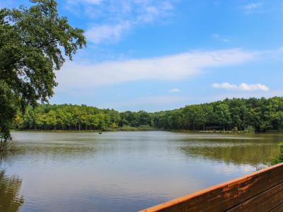 Bukovniško jezero, the forest lake near Dobrovnik in Prekmurje