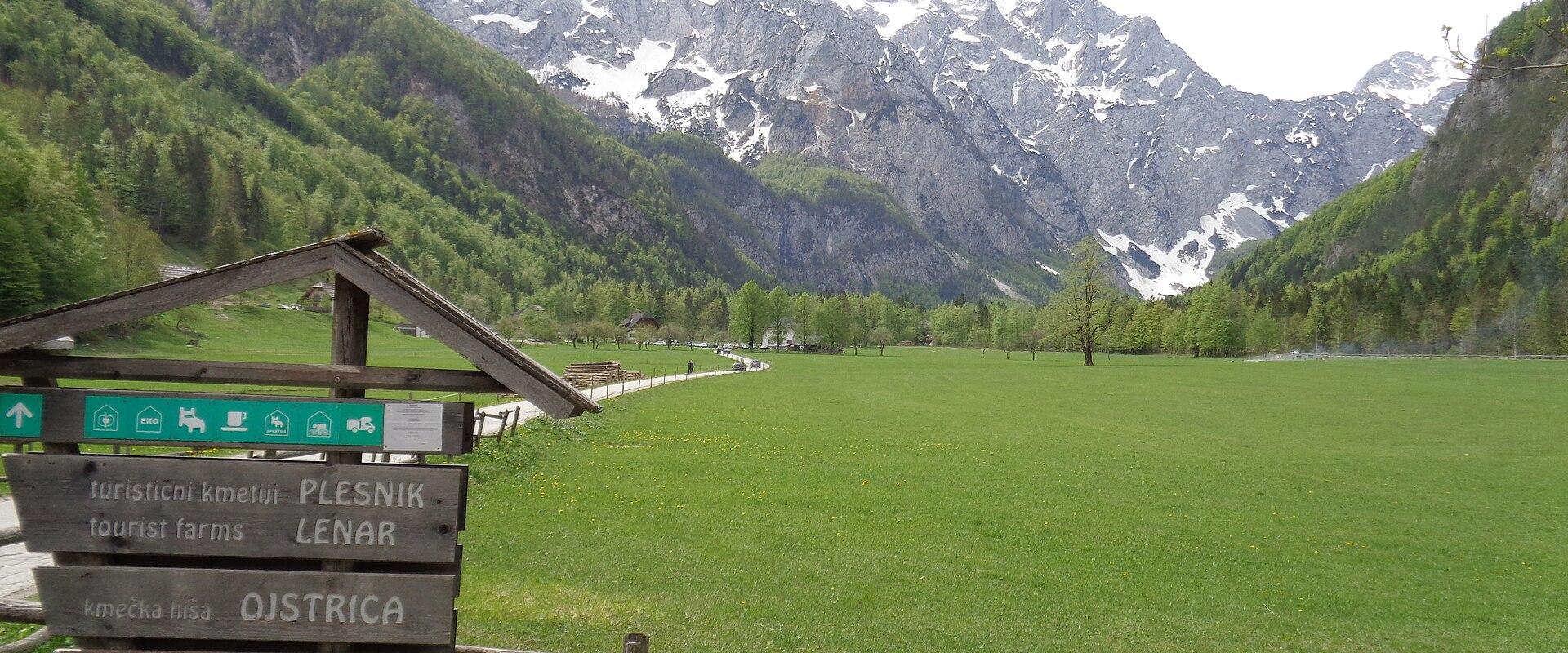 Logarska Dolina Alpine Meadow