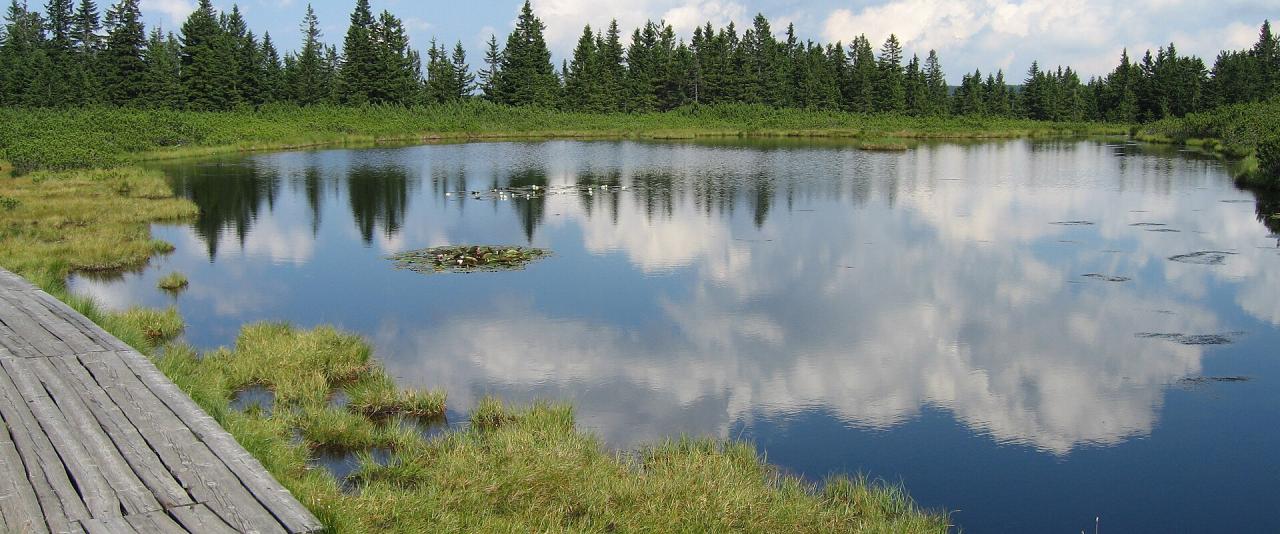 Ribnisko jezero