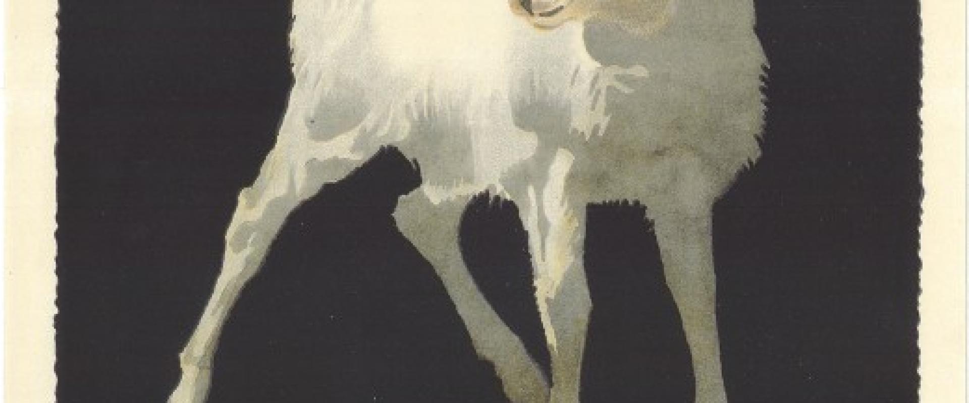Plakat za Zlatorog 1920