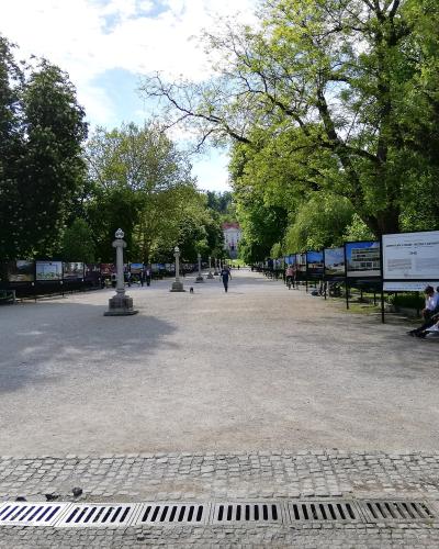 The tree-lined Jakopič promenade in Tivoli Park, Ljubljana