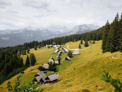 A high-angle view of a traditional alpine settlement with wooden chalets and huts arranged along a grassy slope, backed by a dense spruce forest and distant mountain peaks under a cloudy sky.