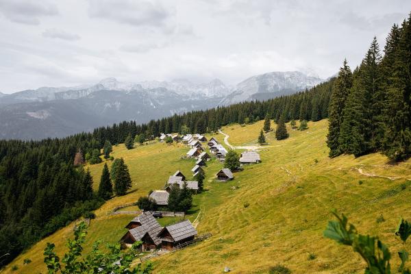Planina Zajamniki