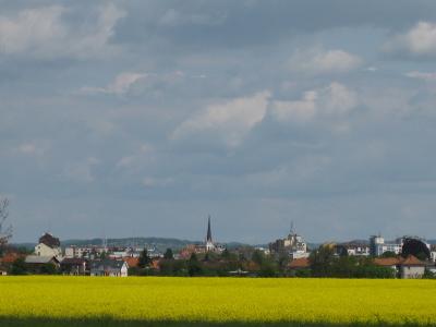 Flowering fields and the skyline of Murska Sobota on the Pomurje plain