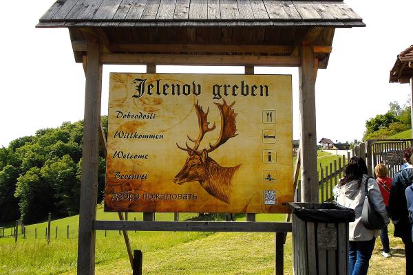 Jelenov Greben