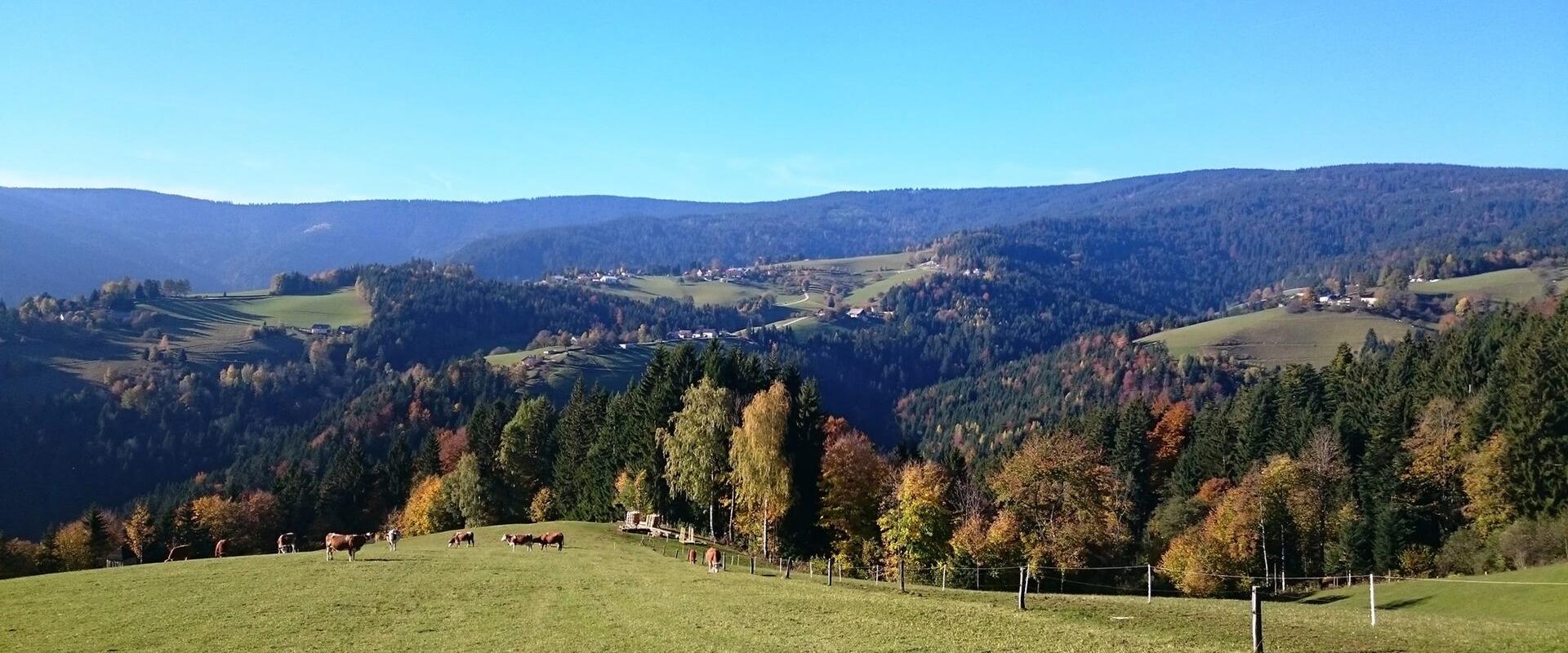 Forested hills of the Pohorje plateau around Rogla