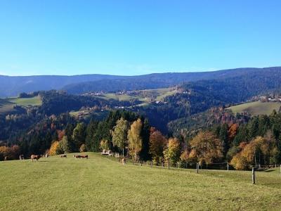 Forested hills of the Pohorje plateau around Rogla
