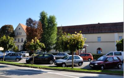 Brezice (27) (3981086209)