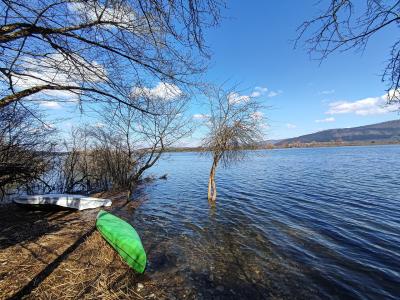 A view of a large lake with a green kayak and a white boat on the shore, framed by bare trees under a blue sky.
