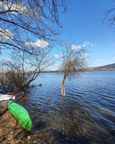 A view of a large lake with a green kayak and a white boat on the shore, framed by bare trees under a blue sky.