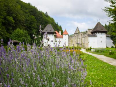 The Žiče Charterhouse buildings beside lavender, home of the historic Gastuž inn