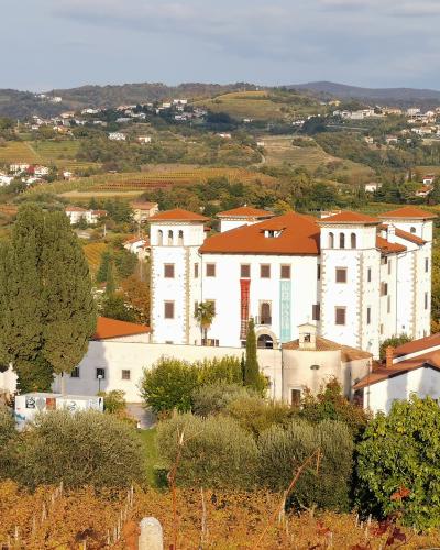 Dobrovo Castle among the vineyards of Goriška Brda