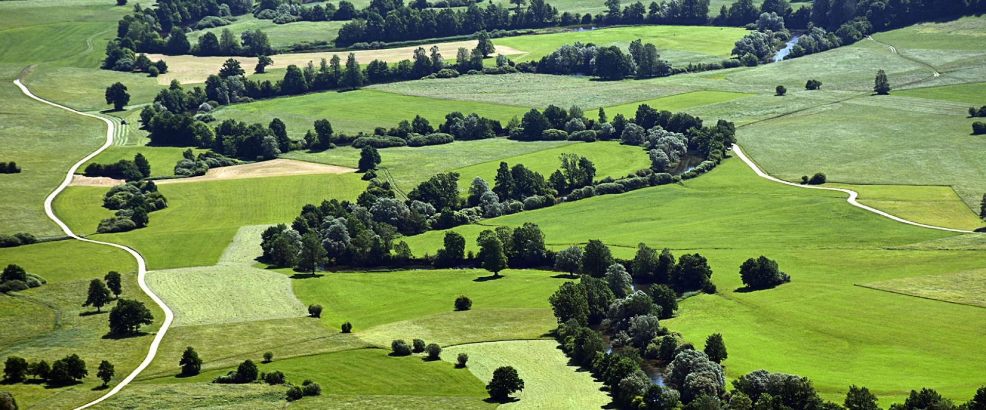 Planinsko polje