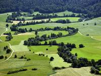 Planinsko polje