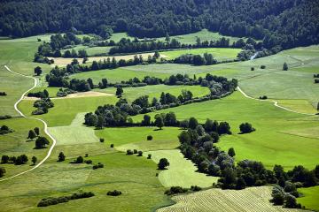 Planinsko polje