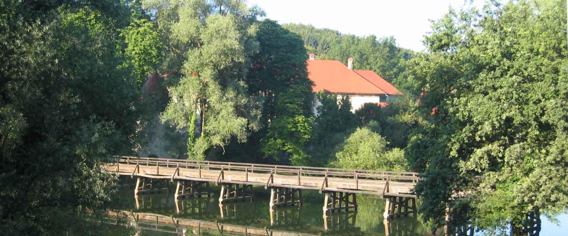 Castles of Posavje