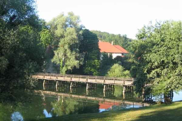 Castles of Posavje