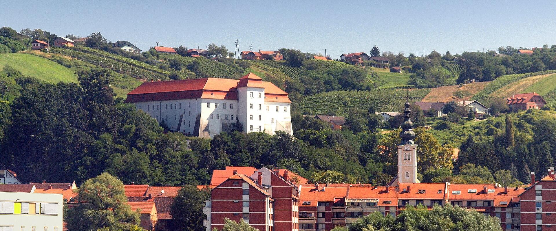 Lendava castle above the town and vineyards