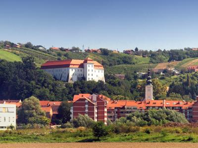 Lendava castle above the town and vineyards