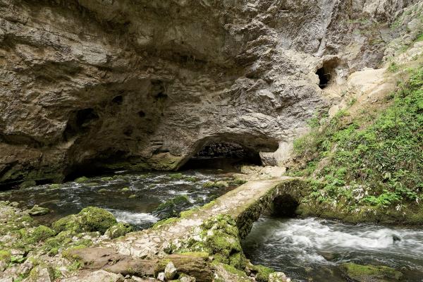 Natural bridges (two, one over 40 meters high)