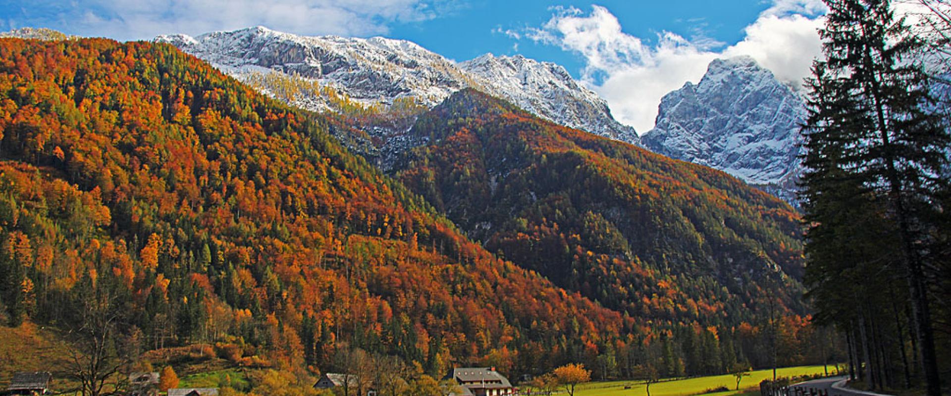 Autumn colours and peaks in the Logarska dolina valley