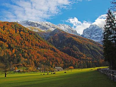 Autumn colours and peaks in the Logarska dolina valley