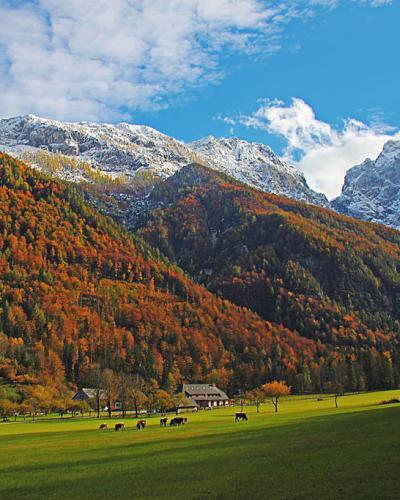 Autumn colours and peaks in the Logarska dolina valley