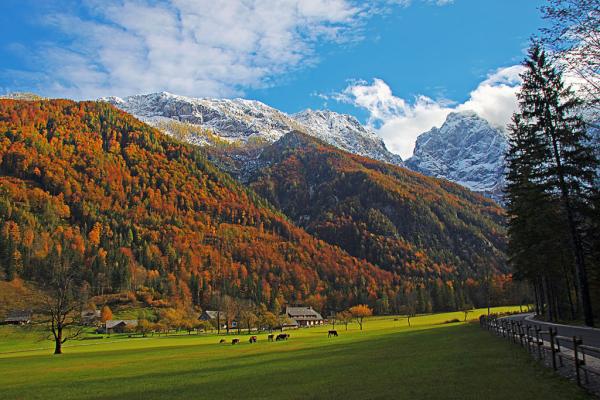 Logarska Dolina Visitor Center